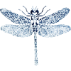 Papillon libellule