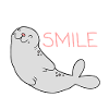 Cute seal