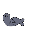 Animal sweet seal