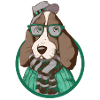 Hund mit HuT