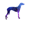 Cadeau Universel Star Galaxy Greyhound