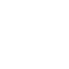 USA flag