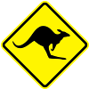 kangoroo_shield__f2