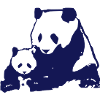 panda