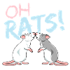 Oh Rats!