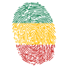rasta