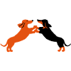 dog dancing teckel