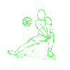 volleyball
