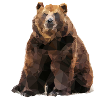 Geometric brown bear