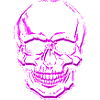 skull pink