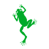 grenouille