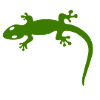 lizard