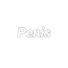penis