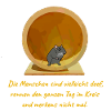 Hamster on hamster wheel