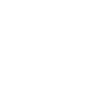 Ange noir