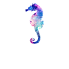 Cadeau étoile de galaxie