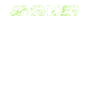 Simracer Racing Simracing