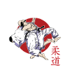 judo