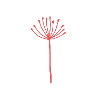 Red flower
