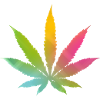 hemp