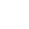cute dog