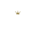 Team Bride