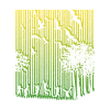 Illusion, bar code