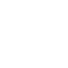Brontosaurus - skeleton