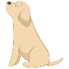 Chien