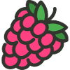 Raspberry t-shirt