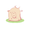 Pig kawaii