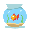 Poisson d'eau poisson rouge