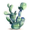 Acquerello di cactus | Greenery Watercolor Edition