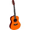 Acoustic Guitar Music Electric Guitar