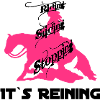 riding_sliding_stopping
