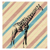 Safari