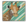 Africa Animals