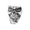 Skull skull