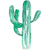 Cactus aquarelle