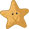 starfish