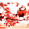 bird