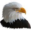 Eagle low poly style