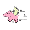 Flying pig