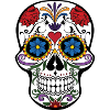Mexico skull