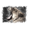 Löwe im Regen