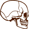 skull on the side