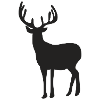 roe deer