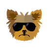 Yorkie