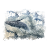 Whale in the clouds