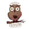 Hibou chouette café caféine
